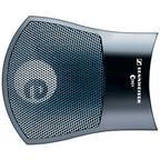 Sennheiser E 901
