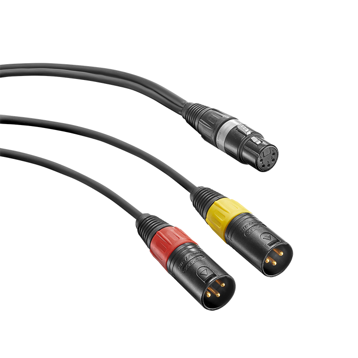 NEU-006595