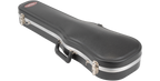 SKB Cases 1SKB-234