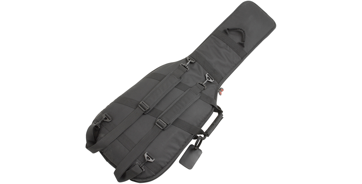 SKB Cases 1SKB-GB66
