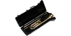 SKB Cases 1SKB-462