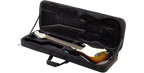 SKB Cases 1SKB-SC66
