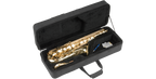 SKB Cases 1SKB-SC350