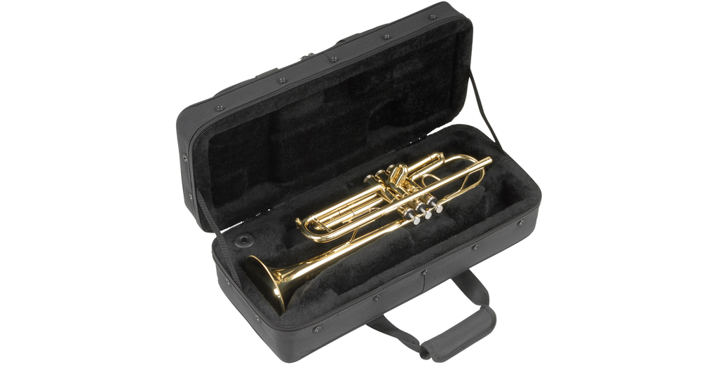 SKB Cases 1SKB-SC330