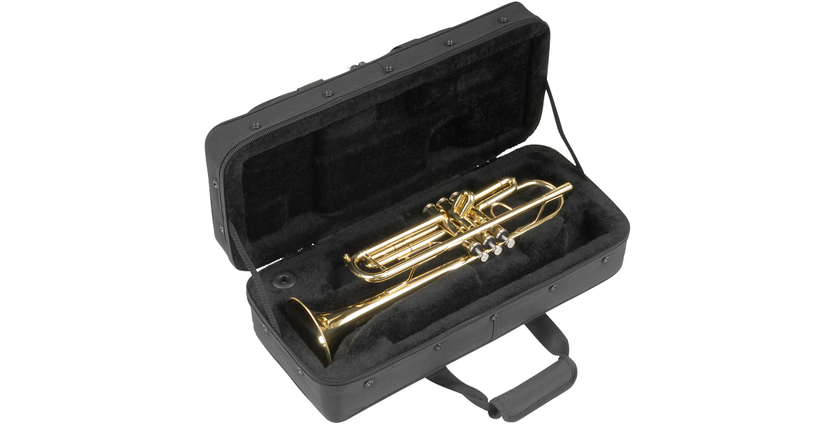SKB Cases 1SKB-SC330