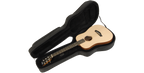SKB Cases 1SKB-SC300