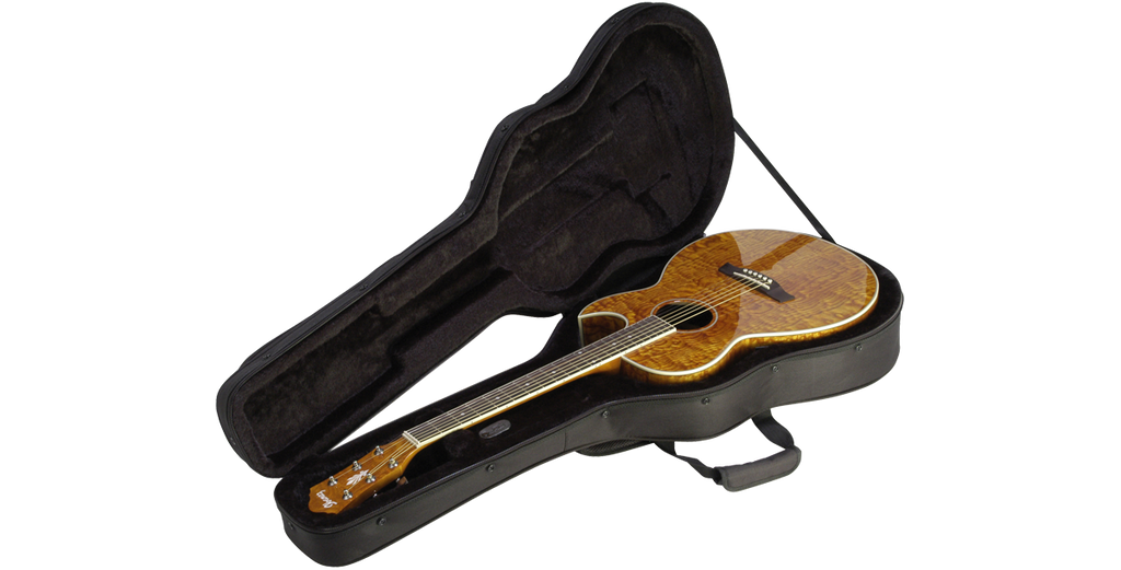 SKB Cases 1SKB-SC30