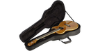 SKB Cases 1SKB-SC30