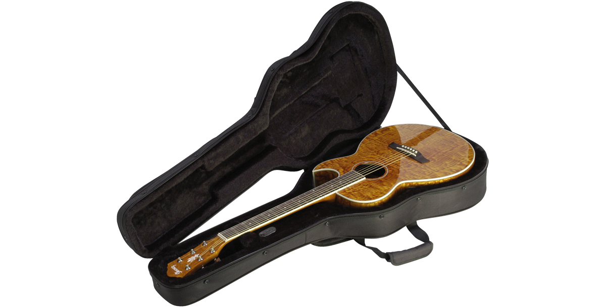 SKB Cases 1SKB-SC30