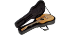 SKB Cases 1SKB-SC18