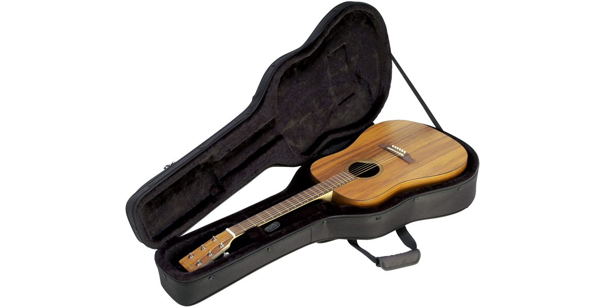 SKB Cases 1SKB-SC18
