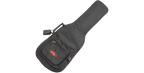 SKB Cases 1SKB-GB66