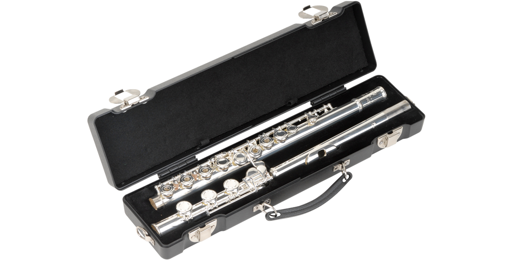 SKB Cases 1SKB-310