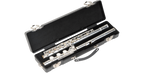 SKB Cases 1SKB-310