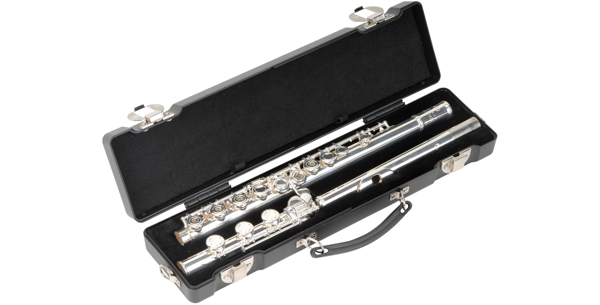 SKB Cases 1SKB-310
