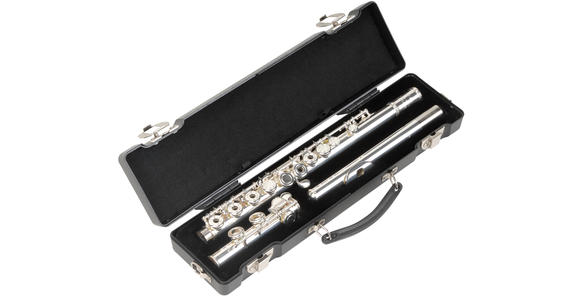SKB Cases 1SKB-312