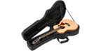 SKB Cases 1SKB-SCGSM