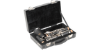 SKB Cases 1SKB-320