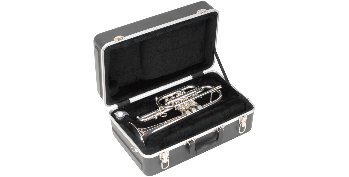 SKB Cases 1SKB-325