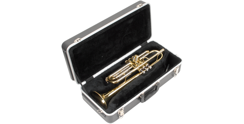 SKB Cases 1SKB-330
