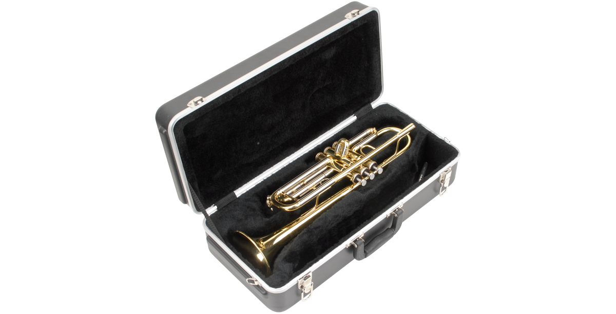 SKB Cases 1SKB-330