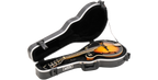 SKB Cases 1SKB-80F