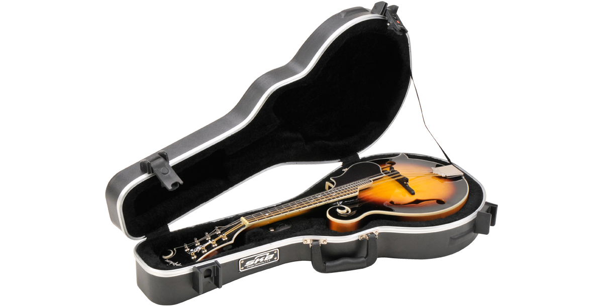 SKB Cases 1SKB-80F
