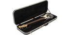 SKB Cases 1SKB-4