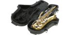 SKB Cases 1SKB-450