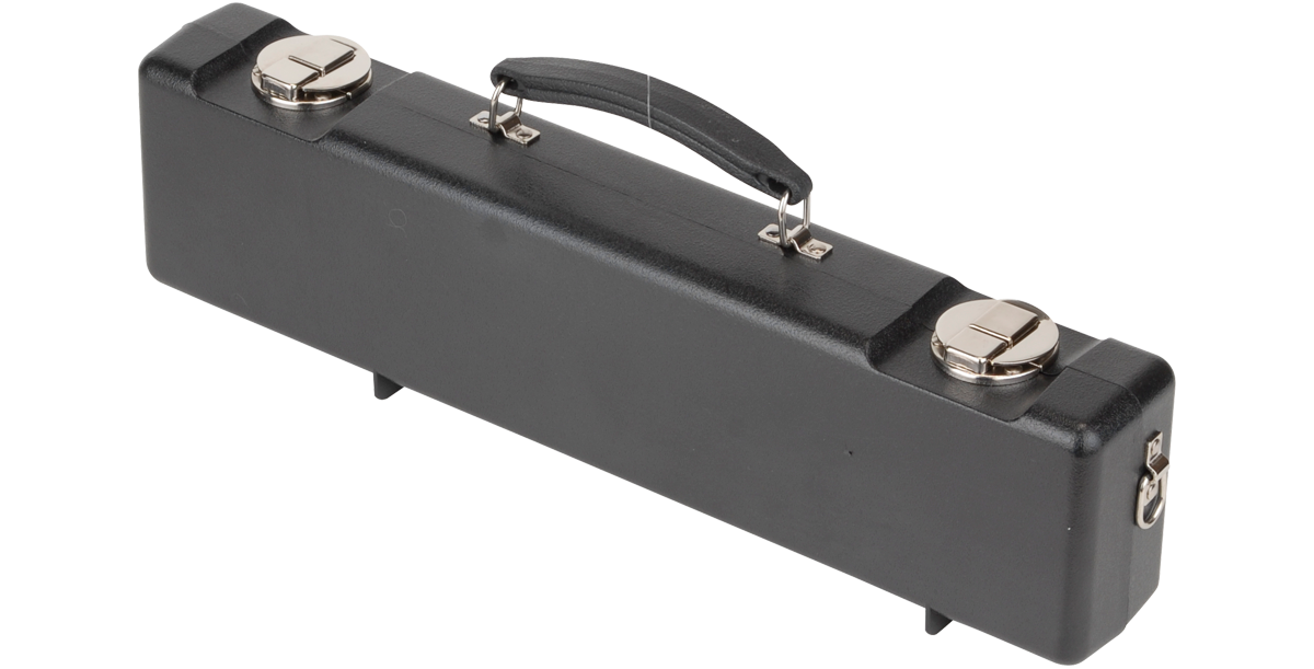 SKB Cases 1SKB-310