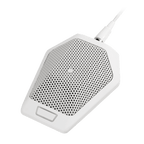 Audio Technica U891RWB