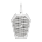 Audio Technica U891RWB