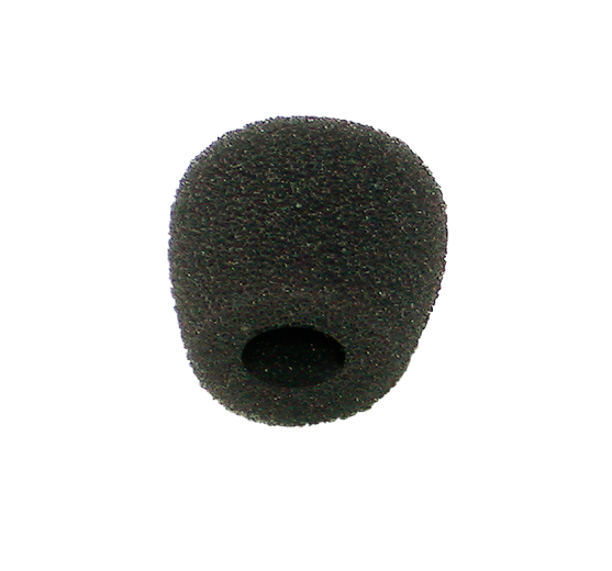 WS-WND 002