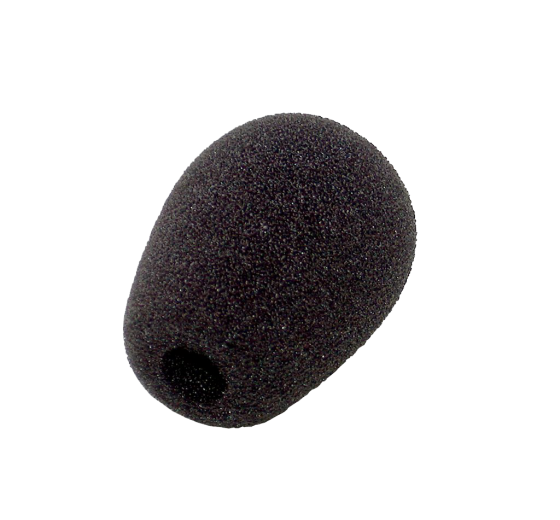 WS-WND 009