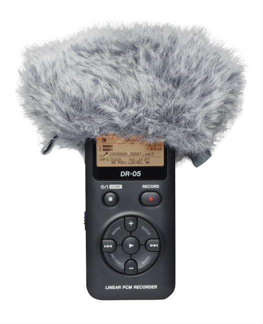 Tascam WS-11