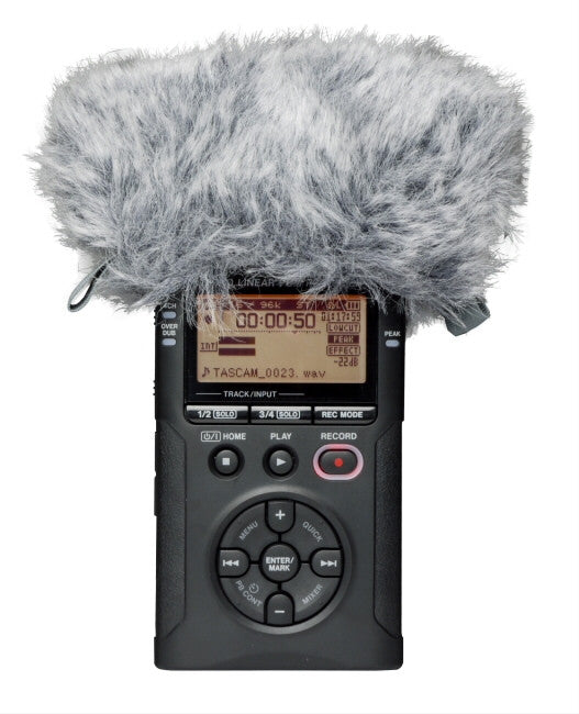 Tascam WS-11