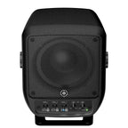 Yamaha STAGEPAS100